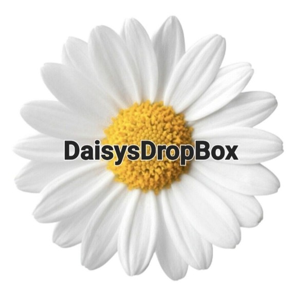 American Eagle Outfitters Super Stretch Womens Size 4 Shortie Denim Jean Shorts - Picture 13 of 13